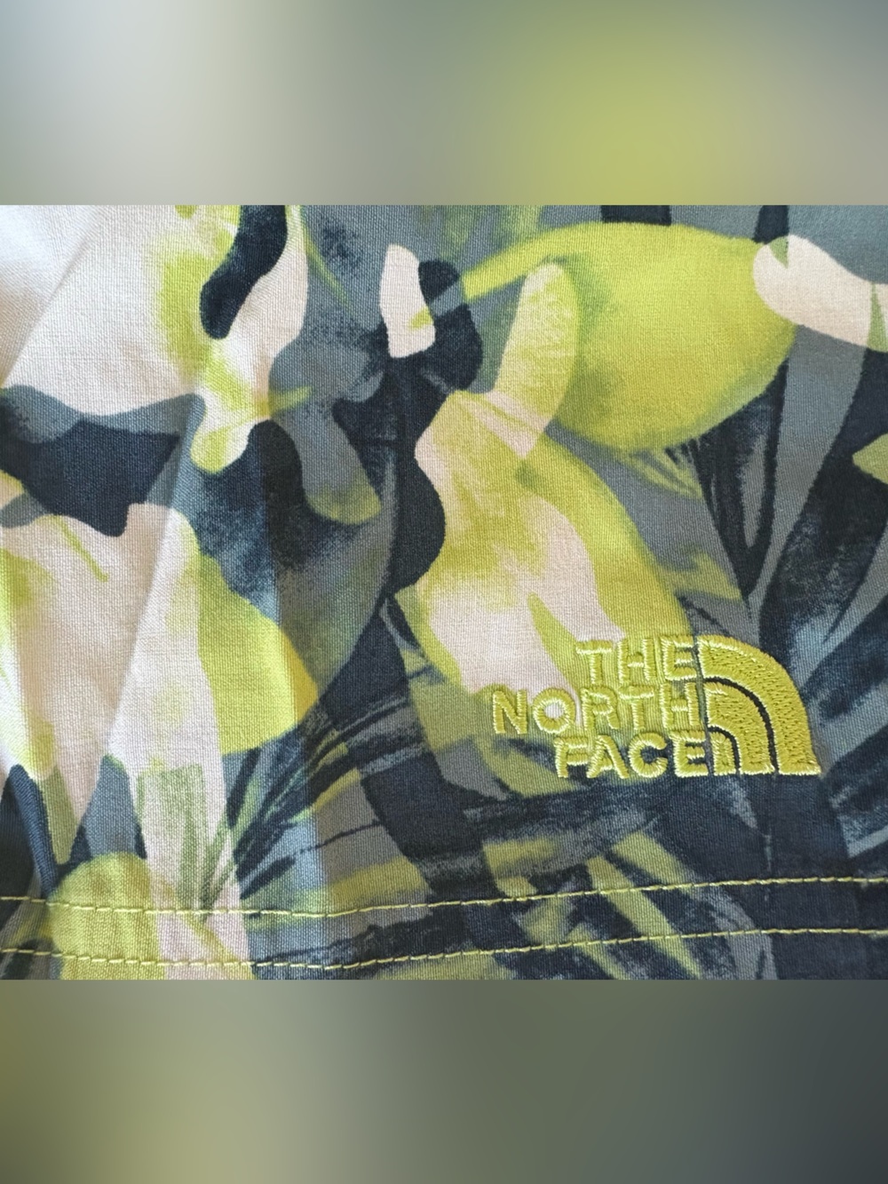 The North Face Shorts - Picture 4 of 5